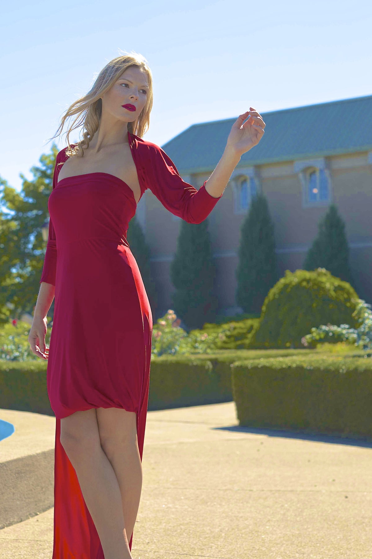 Holiday Dress | Diane Kroe Holiday Dress | Diane Kroe